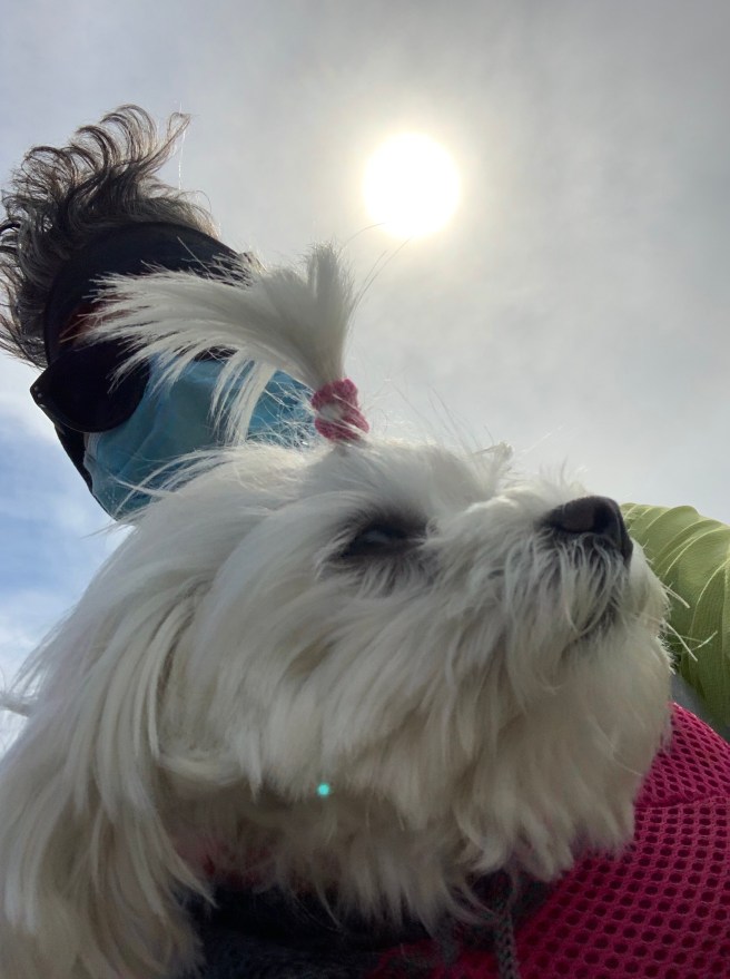 EbQvCi1eQaKsAMHzw9PbcA